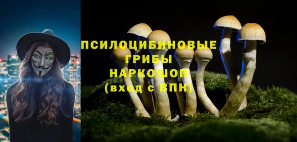 метадон Горнозаводск