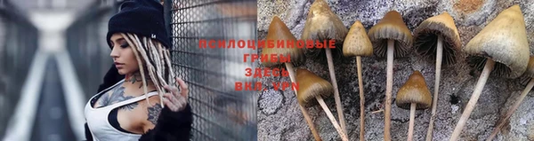 метадон Горнозаводск