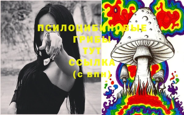 бошки Горняк