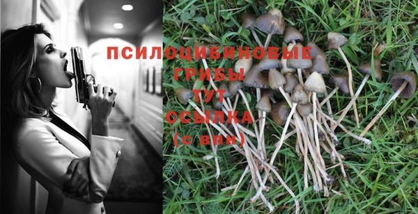 бошки Горняк