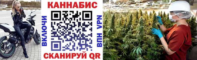 Купить закладки  Нязепетровск  Канабис SATIVA & INDICA 